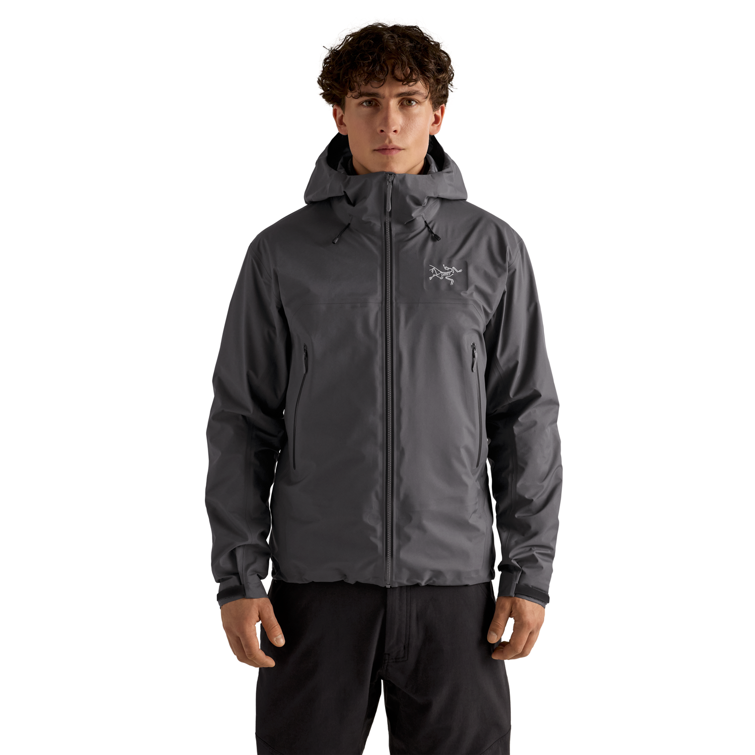 Arc'teryx Men's Beta Sl Jacket - High Country Outfitters