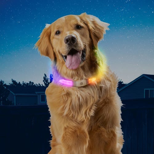 Nitehowl led hot sale collar