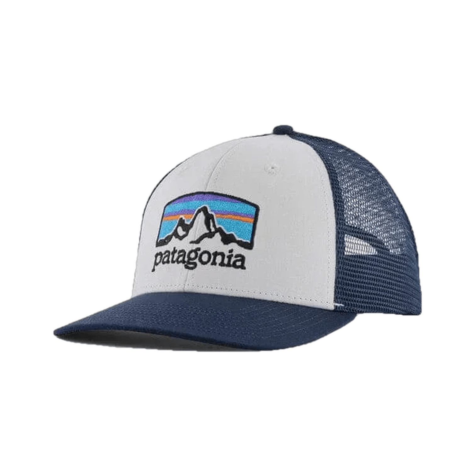 Navy blue top patagonia hat