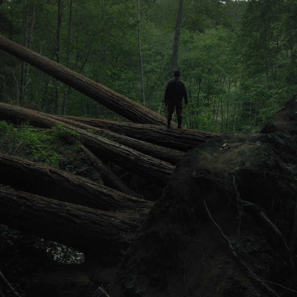Horror Movies in Nature