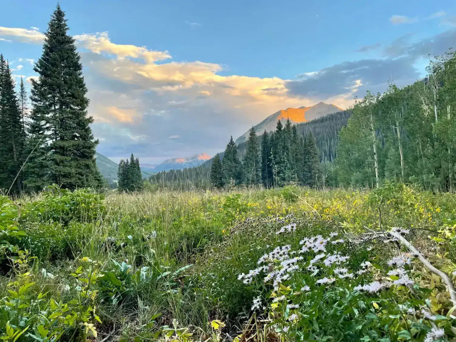 Van Life in Crested Butte