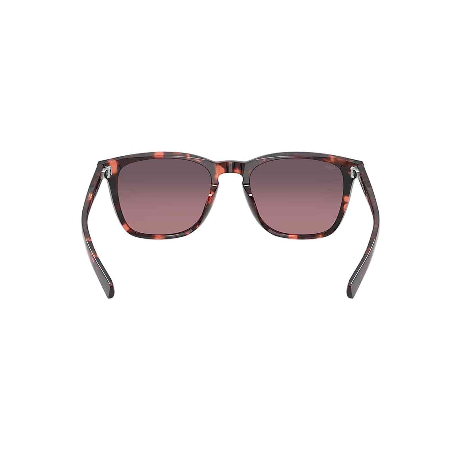 Costa Del Mar 07. EYEWEAR - SUNGLASSES - SUNGLASSES Sullivan SUNSET TORTOISE ROSE GRADIENT 580G