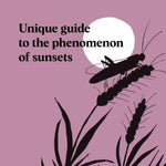 Chronicle Books 10. GIFTS|ACCESSORIES - GIFT - BOOKS Pocket Nature Sunset Seeking