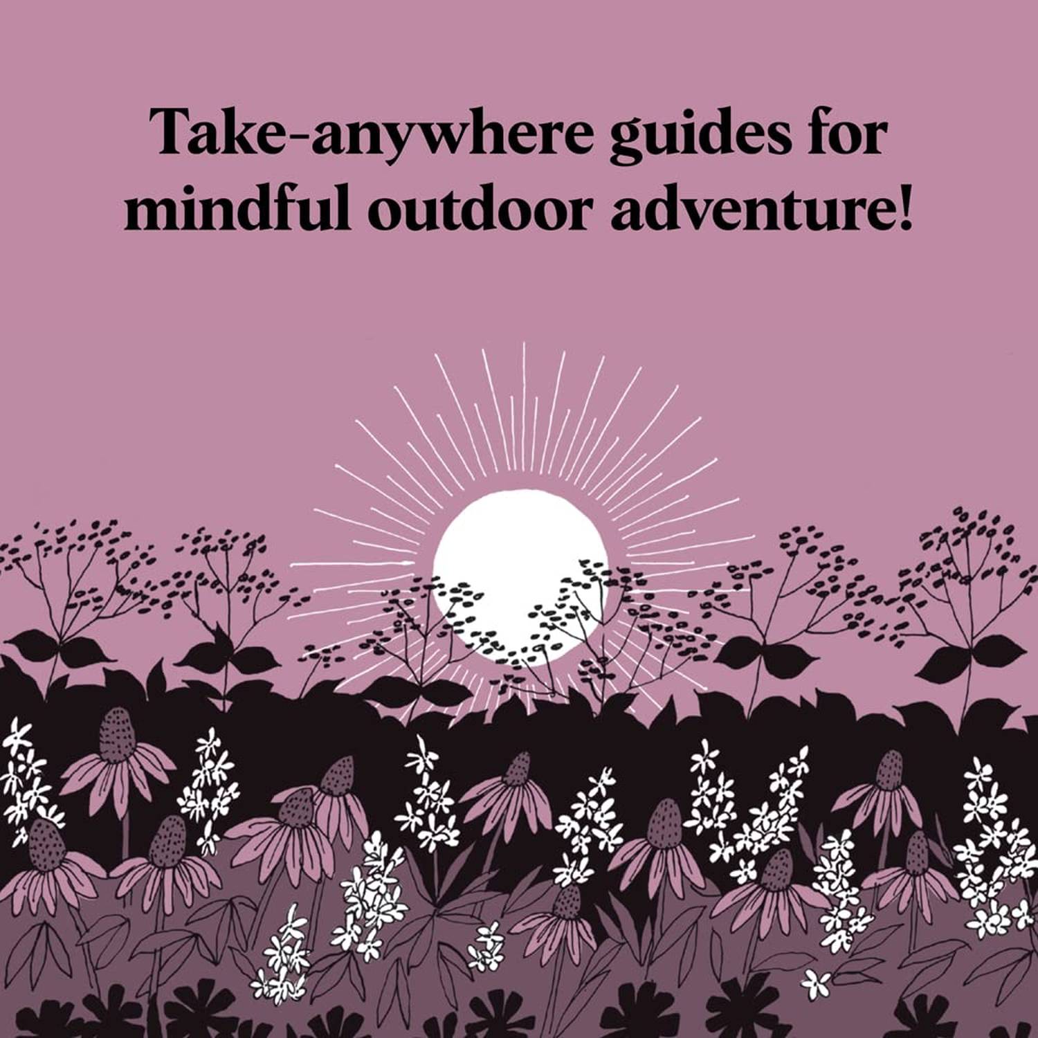 Chronicle Books 10. GIFTS|ACCESSORIES - GIFT - BOOKS Pocket Nature Sunset Seeking