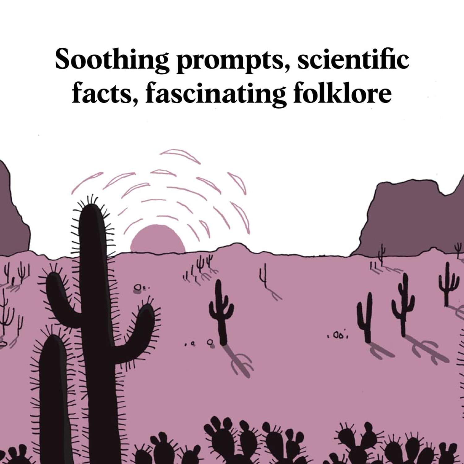 Chronicle Books 10. GIFTS|ACCESSORIES - GIFT - BOOKS Pocket Nature Sunset Seeking