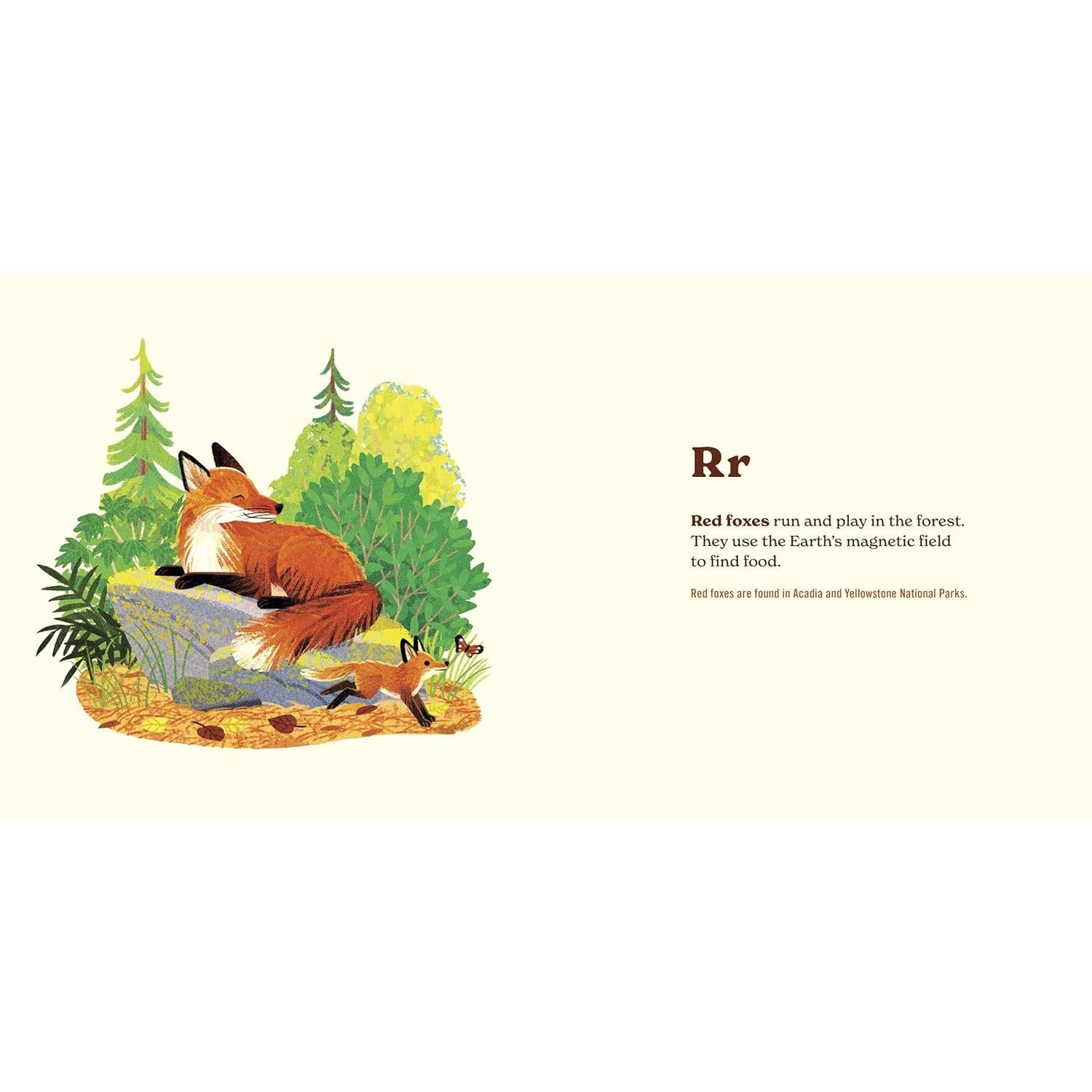 Penguin Random House 10. GIFTS|ACCESSORIES - GIFT - BOOKS Animals Of The National Parks