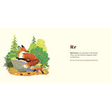 Penguin Random House 10. GIFTS|ACCESSORIES - GIFT - BOOKS Animals Of The National Parks