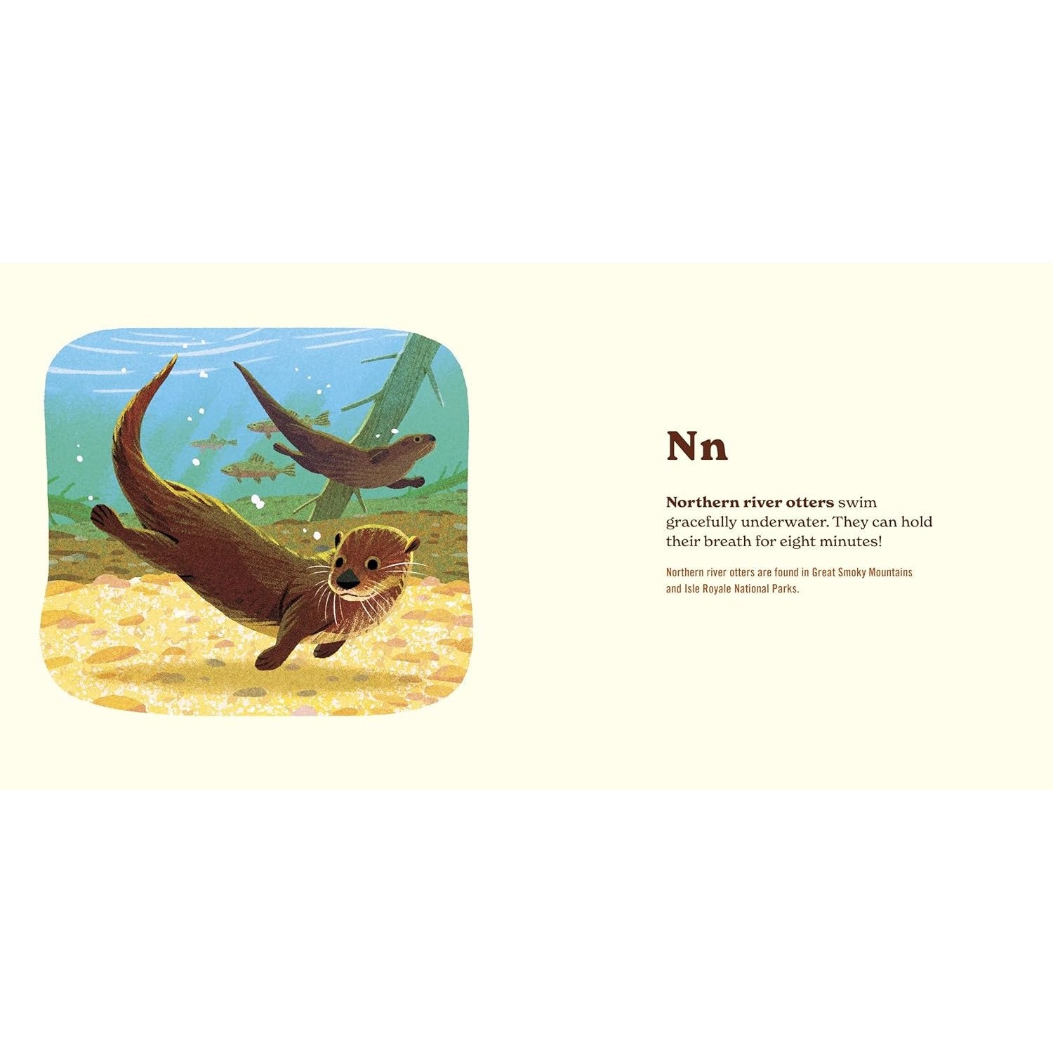 Penguin Random House 10. GIFTS|ACCESSORIES - GIFT - BOOKS Animals Of The National Parks