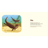 Penguin Random House 10. GIFTS|ACCESSORIES - GIFT - BOOKS Animals Of The National Parks