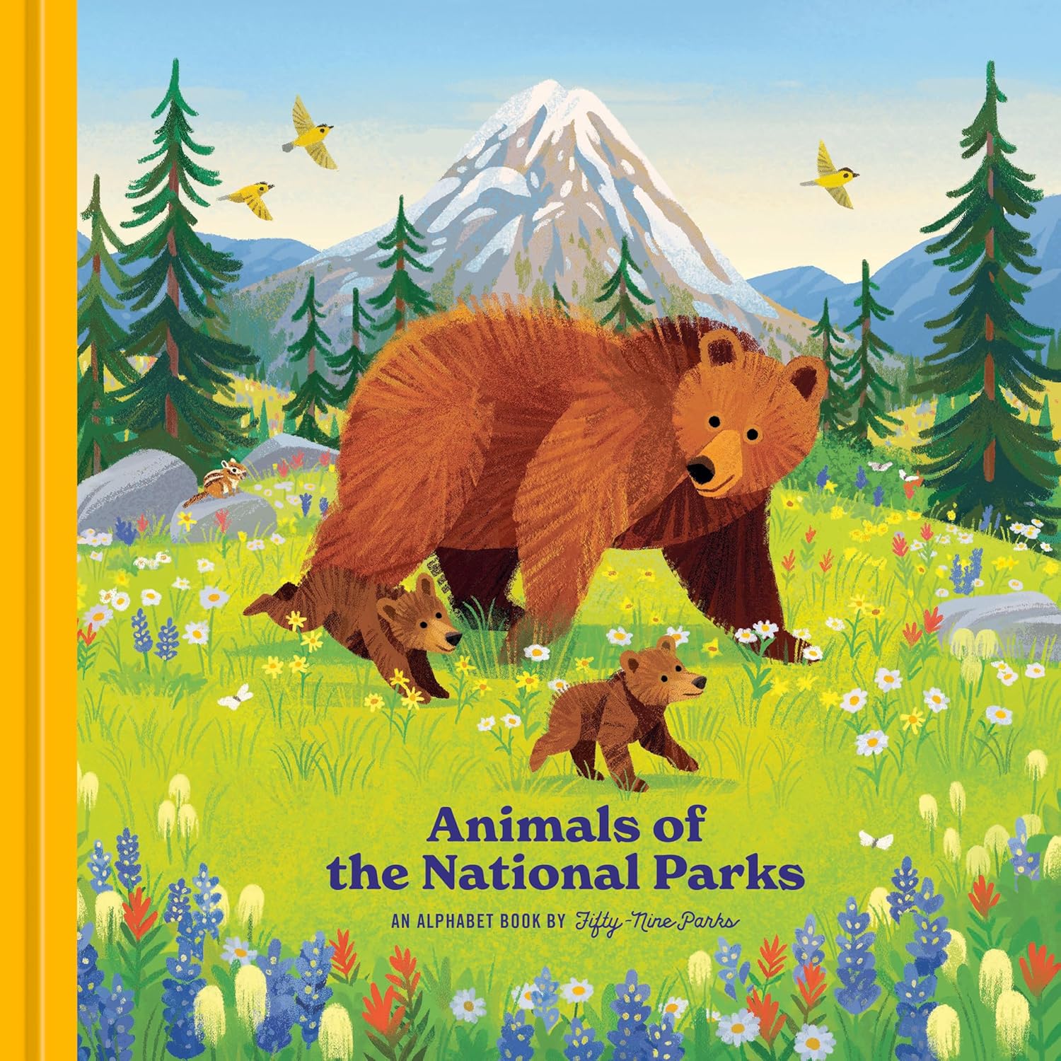 Penguin Random House 10. GIFTS|ACCESSORIES - GIFT - BOOKS Animals Of The National Parks