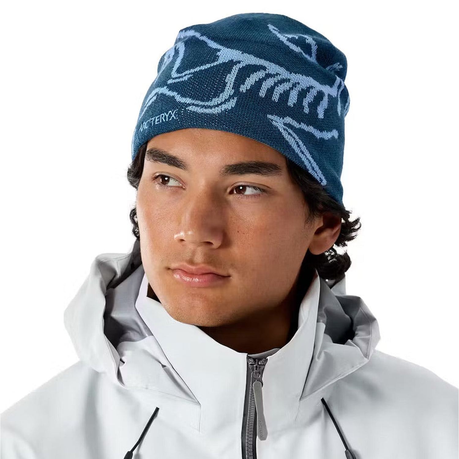 Arc'teryx 11. HATS - HATS WINTER - HATS WINTER Bird Head Toque Beanie NIGHTSCAPE | GLACIAL OS
