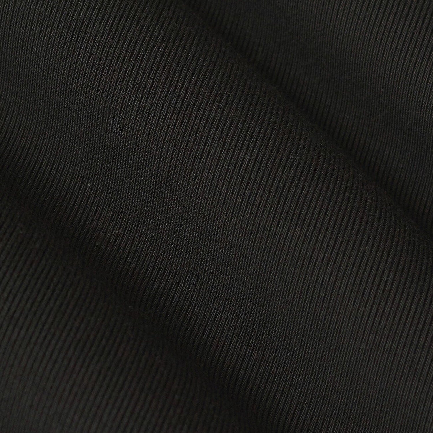 Women’s Second Skin Crew Longsleeve Z Supply