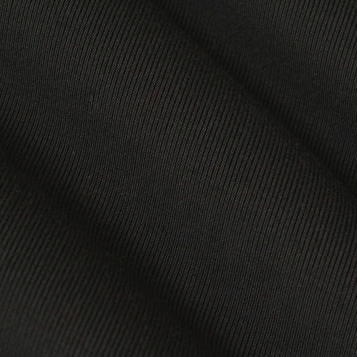 Women’s Second Skin Crew Longsleeve Z Supply