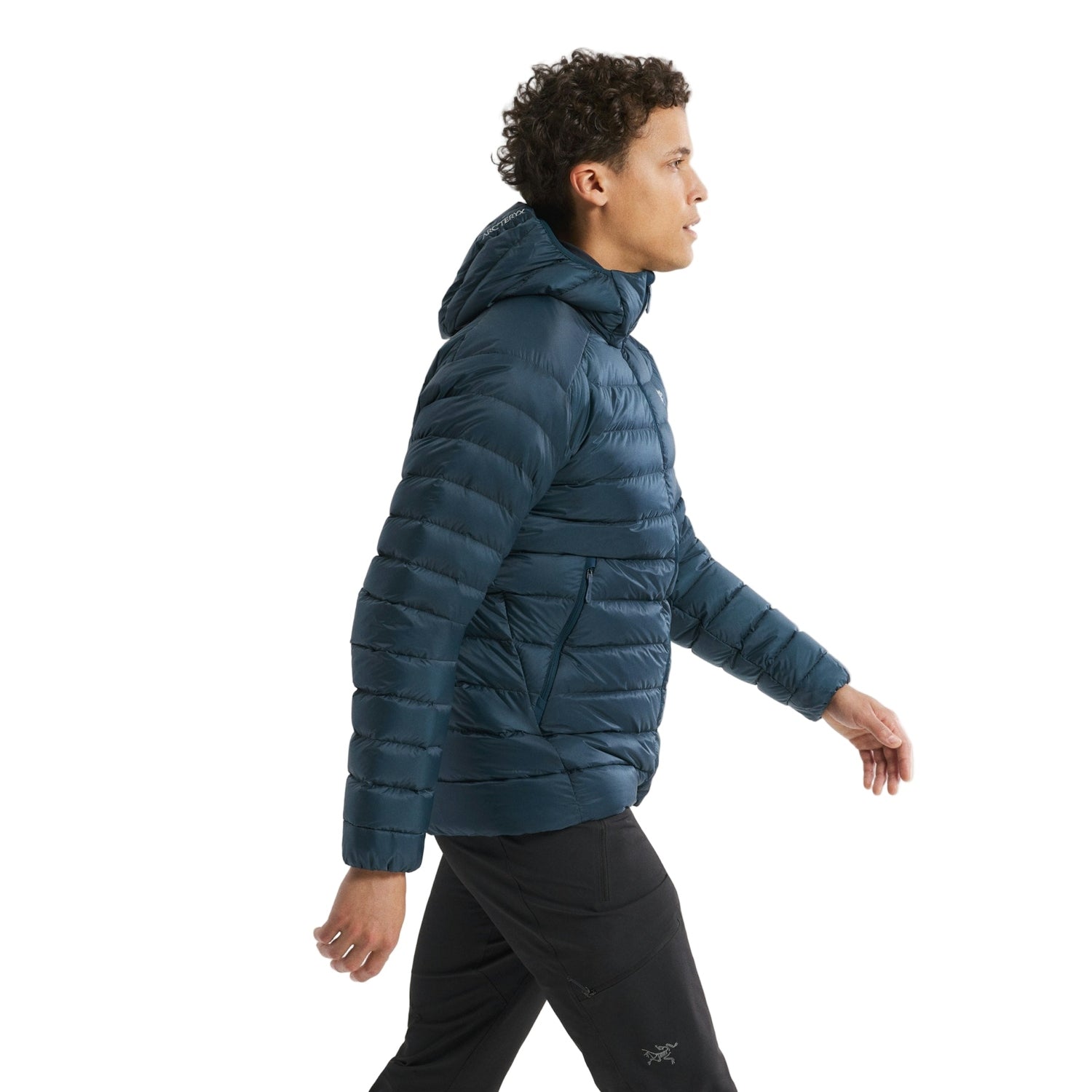Arc'teryx 01. MENS APPAREL - MENS JACKETS - MENS JACKETS INSULATED Men's Cerium Hoody 021657 NIGHTSCAPE
