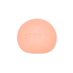 SPEKS 10. GIFTS|ACCESSORIES - GIFT - GIFT Gump REEF