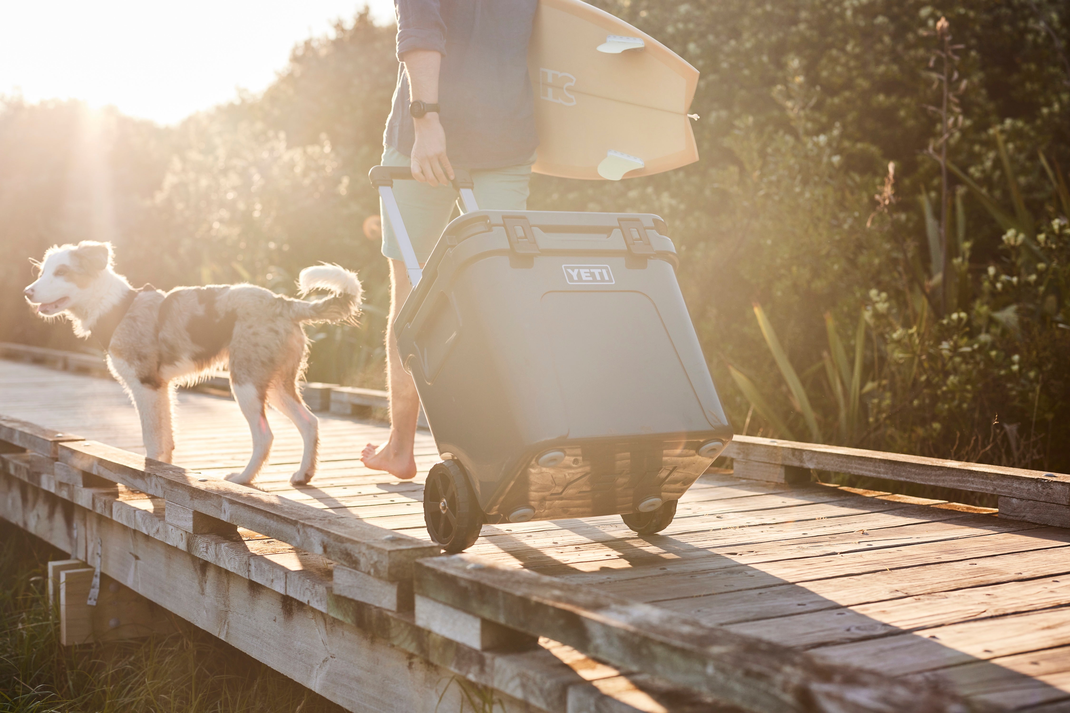 Person with a scooter and dog on a wooden boardwalk
