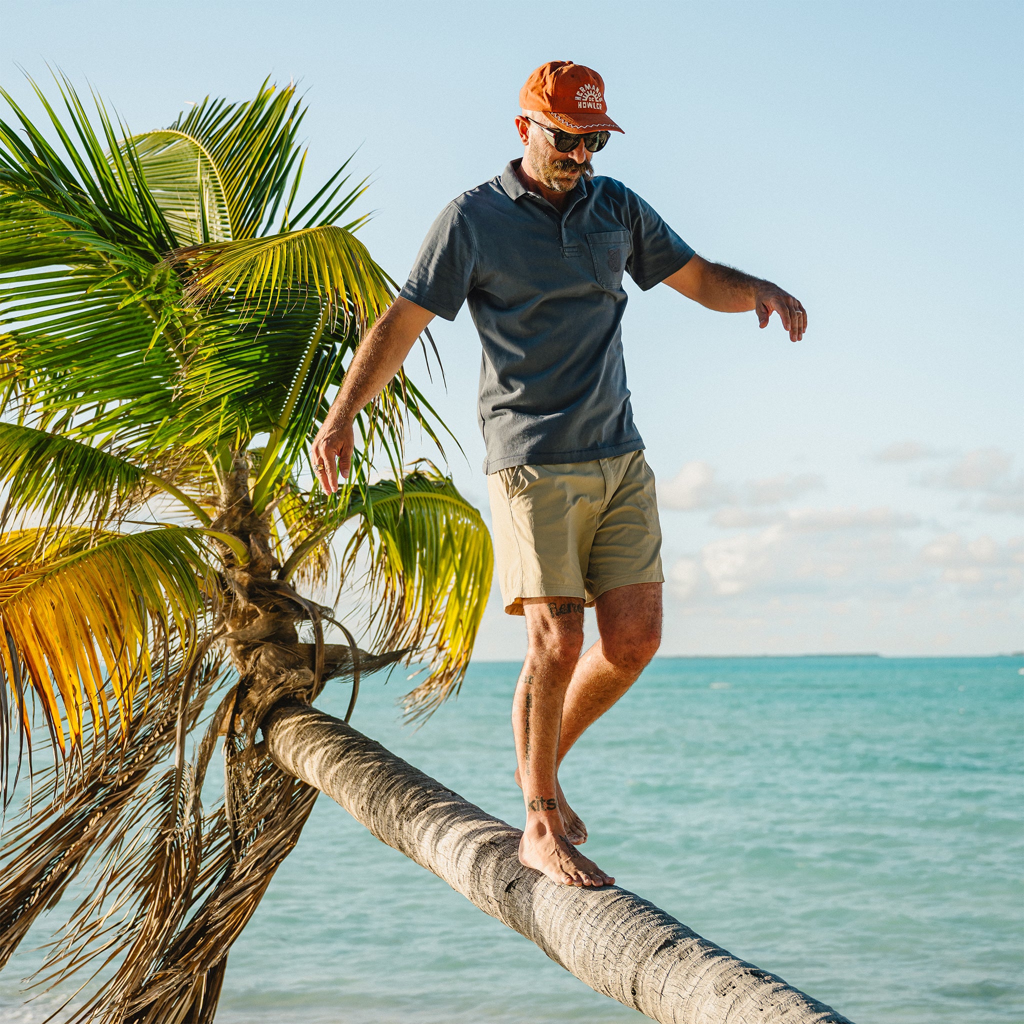 Man balancing on a palm tree branch by the ocean