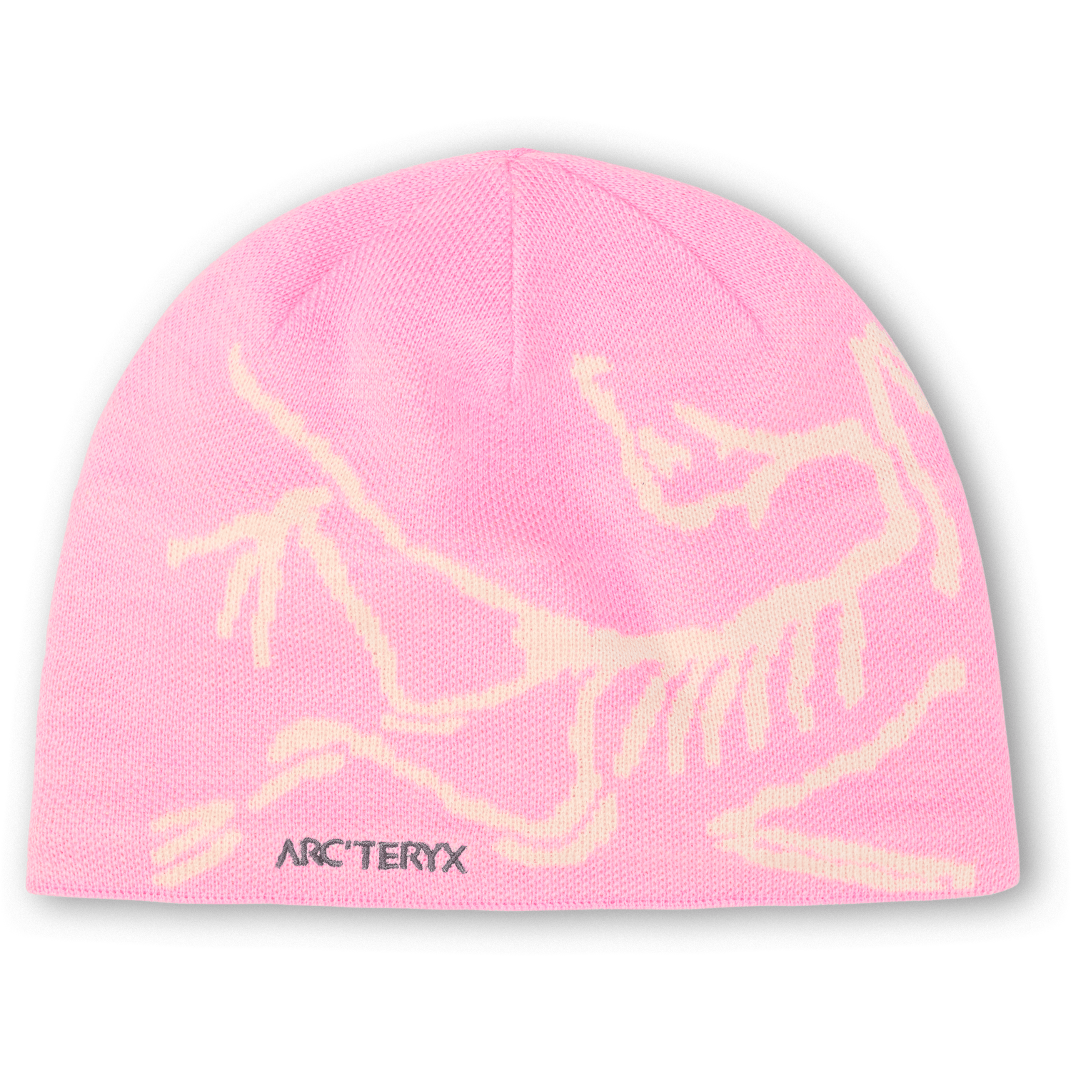 Arc'teryx 11. HATS - HATS WINTER - HATS WINTER Bird Head Toque 022905 PINEBERRY | SEA SALT
