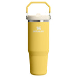 Stanley 08. DRINKWARE - WATER BOTTLES - WATER BOTTLES The Iceflow Flip Straw 2.0 Tumbler 30 oz DAFFODIL