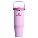 Stanley 08. DRINKWARE - WATER BOTTLES - WATER BOTTLES The Iceflow Flip Straw 2.0 Tumbler 30 oz SOFT ORCHID