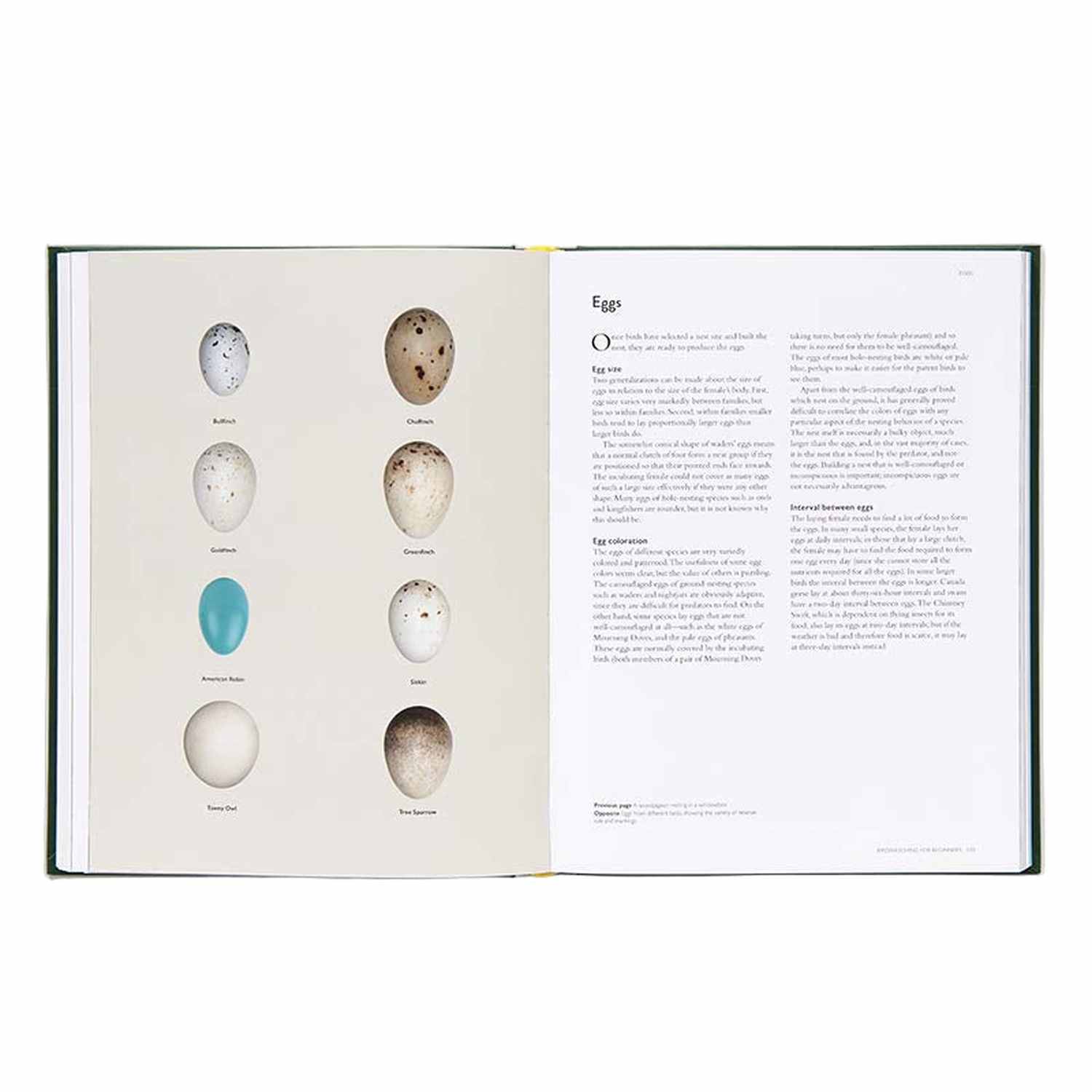 Abrams 10. GIFTS|ACCESSORIES - GIFT - BOOKS The Backyard Birdwatcher's Bible