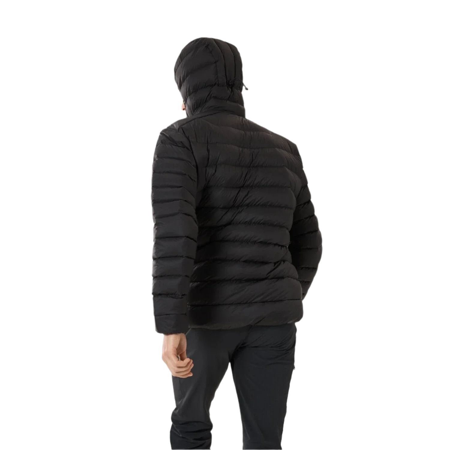 Arc'teryx 01. MENS APPAREL - MENS JACKETS - MENS JACKETS INSULATED Men's Cerium Hoody BLACK XL