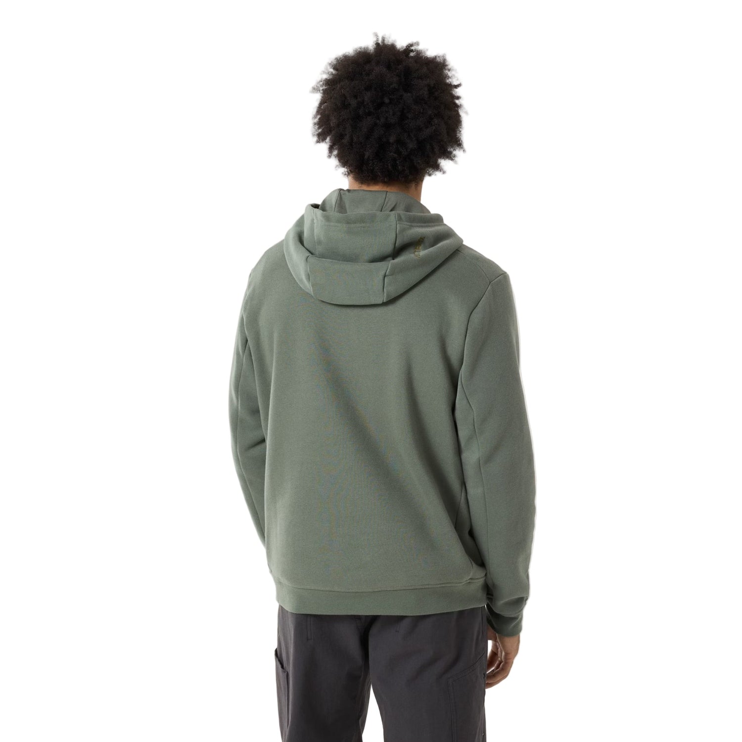 Arc'teryx 01. MENS APPAREL - MENS HOODIES|SWEATERS - MENS PO HOODY Men's Emblem Fleece Hoody FORAGE