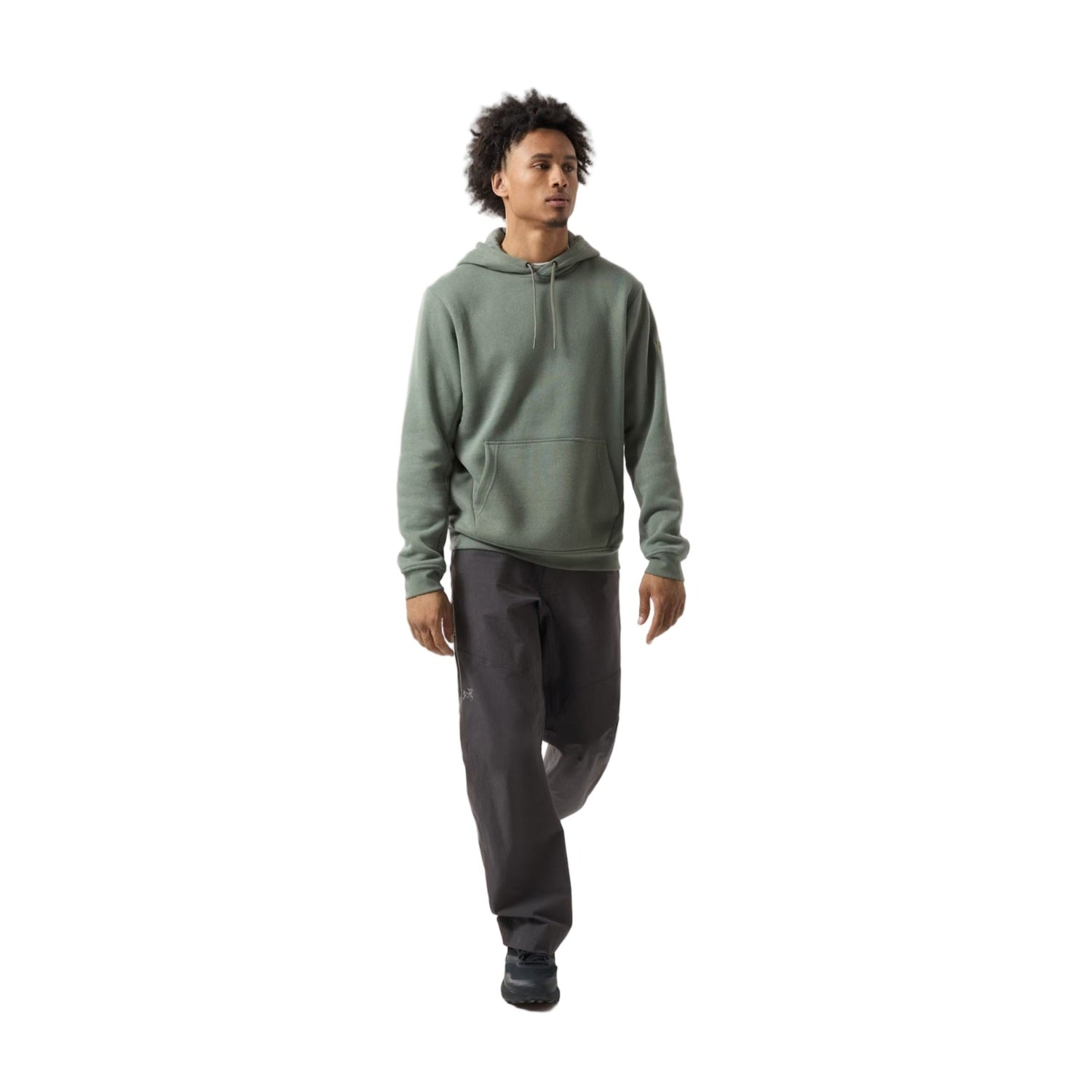 Arc'teryx 01. MENS APPAREL - MENS HOODIES|SWEATERS - MENS PO HOODY Men's Emblem Fleece Hoody FORAGE
