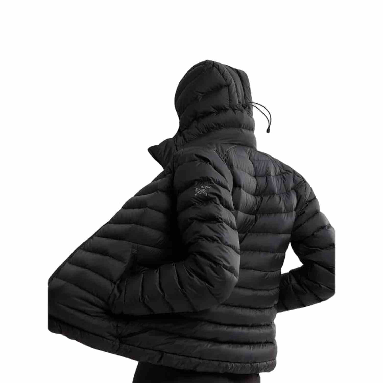 Arc'teryx 02. WOMENS APPAREL - WOMENS JACKETS - WOMENS JACKETS INSULATED Women's Cerium Hoody 02291 BLACK