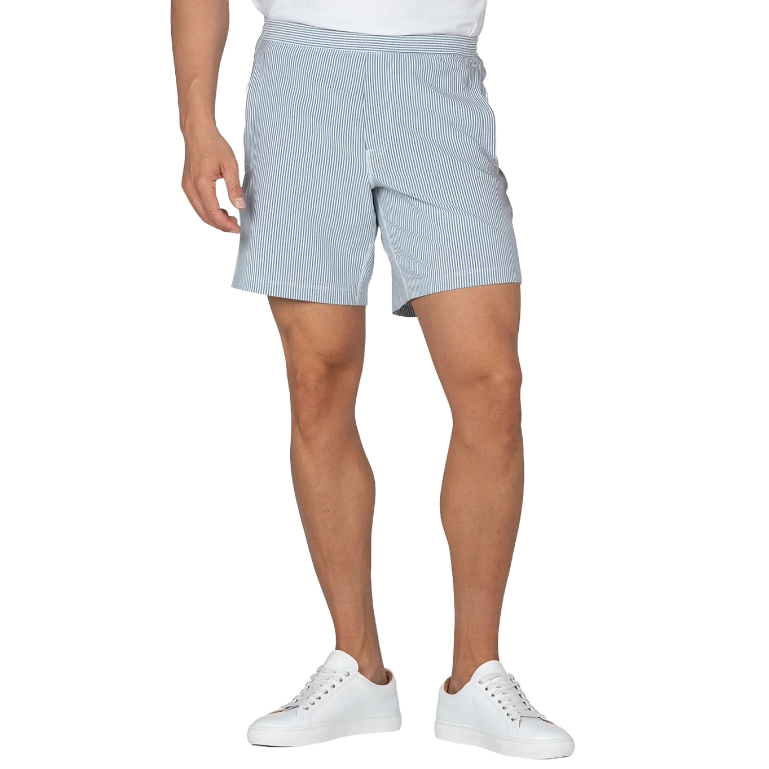 birddogs 01. MENS APPAREL - MENS SHORTS - MENS SHORTS ACTIVE Men's Flying Wasps SEERSUCKER