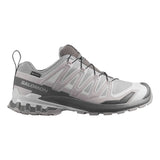 Men's XA Pro 3D V9 Gore-Tex
