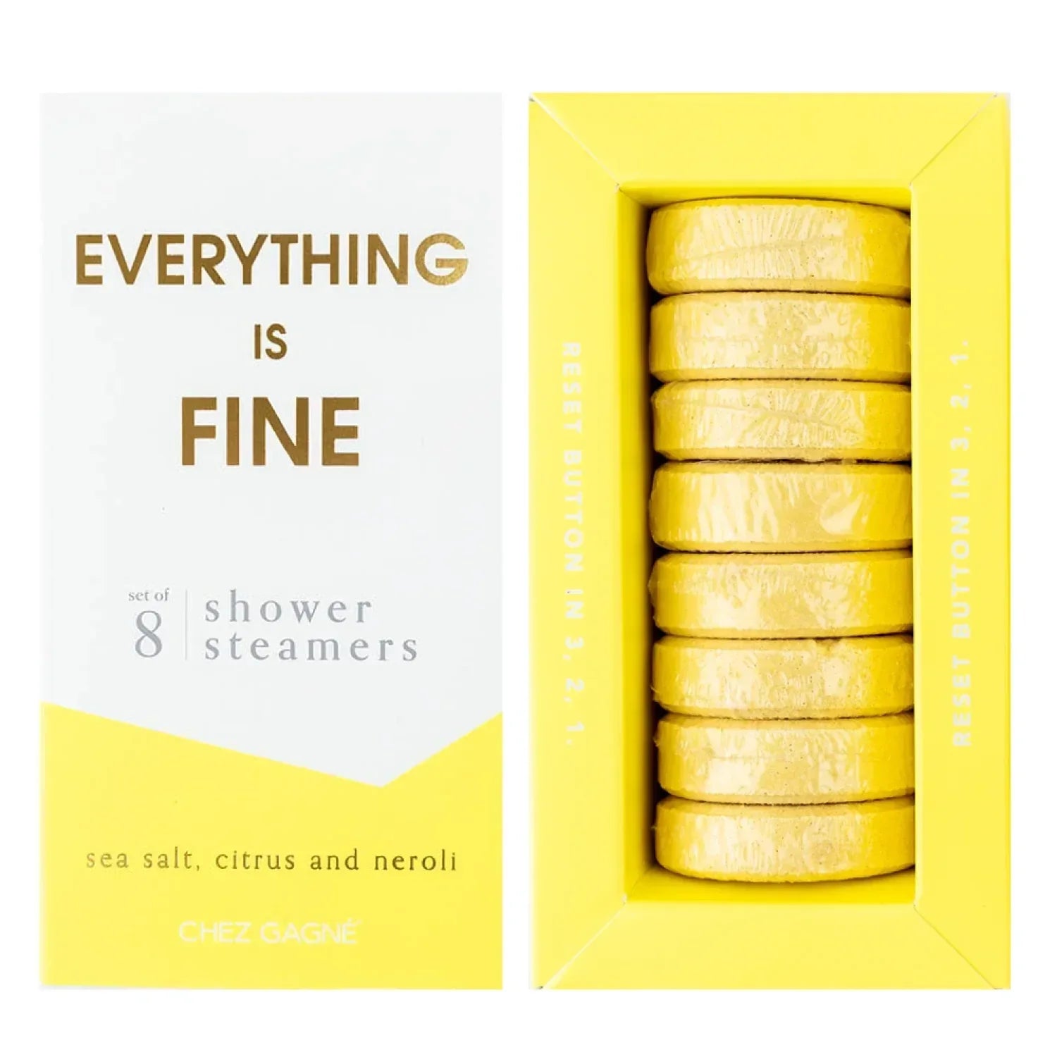 Chez Gagné 10. GIFTS|ACCESSORIES - GIFT - GIFT Shower Steamer EVERYTHING IS FINE
