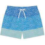 Chubbies 01. MENS APPAREL - MENS SHORTS - MENS SHORTS ACTIVE Men's The Classic Trunk - 5.5 in THE OCEAN TRIFECTAS