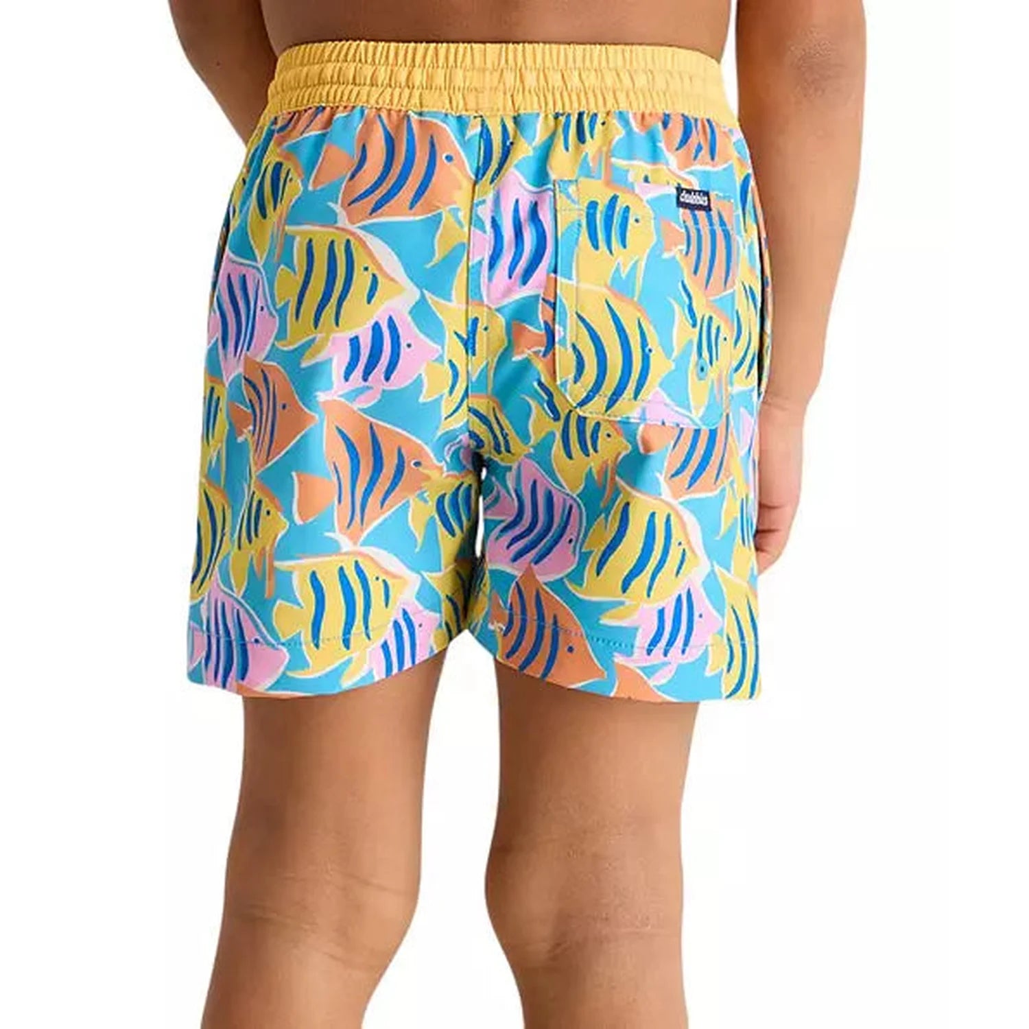 Chubbies 03. KIDS|BABY - BABY - BABY BOTTOMS Toddler Swim Trunk THE FISH TANKS