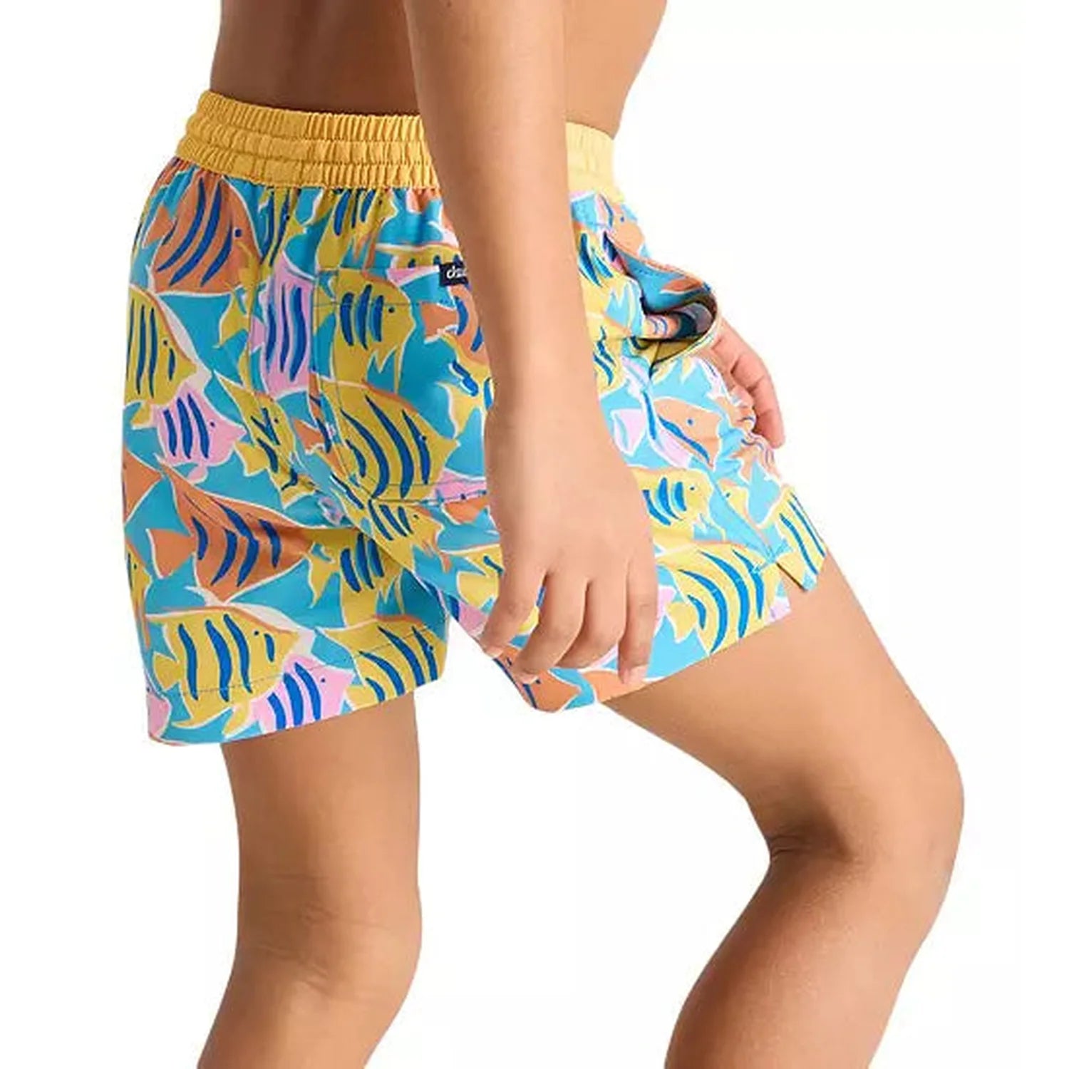 Chubbies 03. KIDS|BABY - BABY - BABY BOTTOMS Toddler Swim Trunk THE FISH TANKS