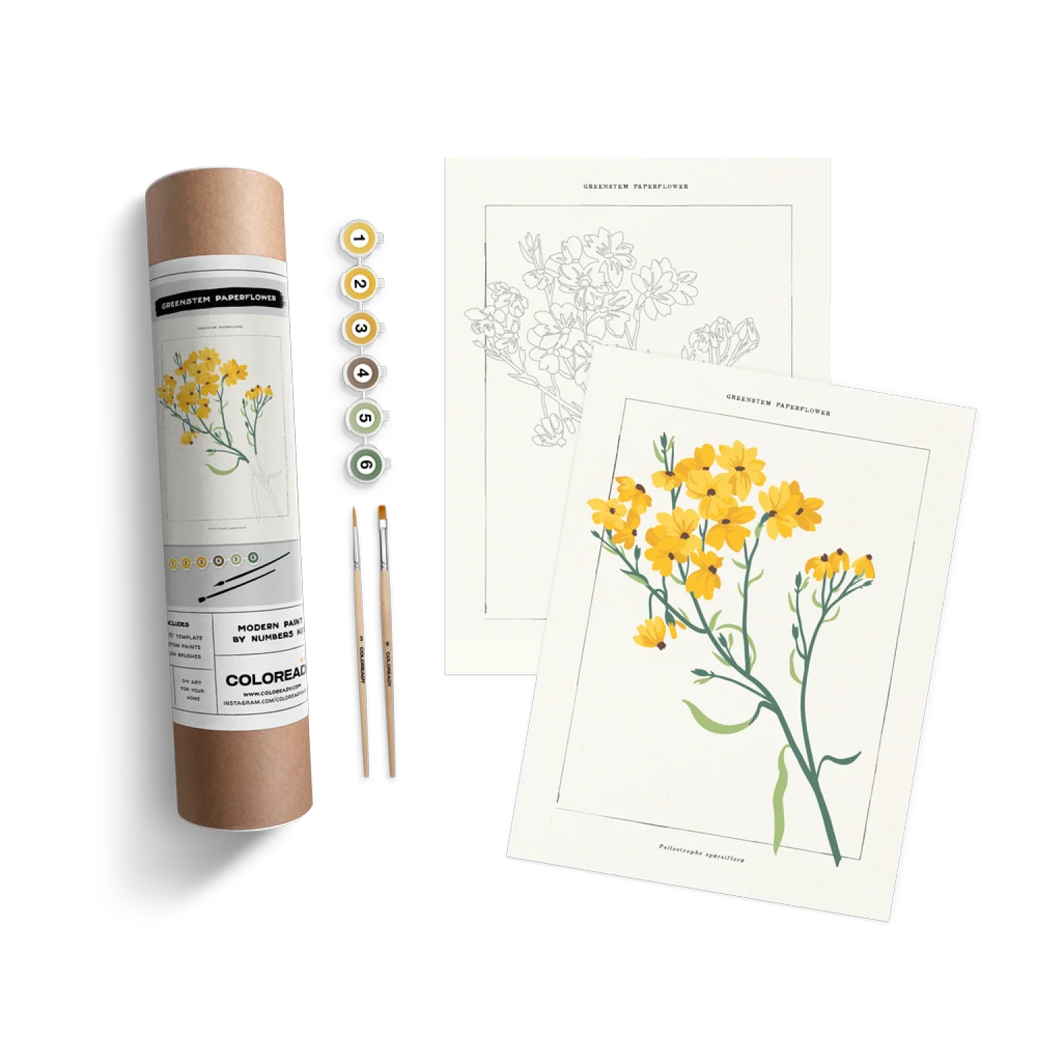 Coloready 10. GIFTS|ACCESSORIES - GIFT - GIFT Greenstem Paperflower Kit