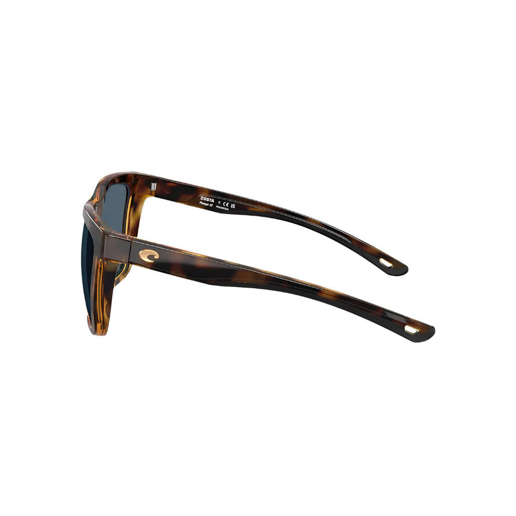 Panga II: Tortoise Frame | Gray 580P Costa Del Mar