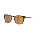 Sullivan | Tortoise | Gold Mirror Polarized Glass 580G
