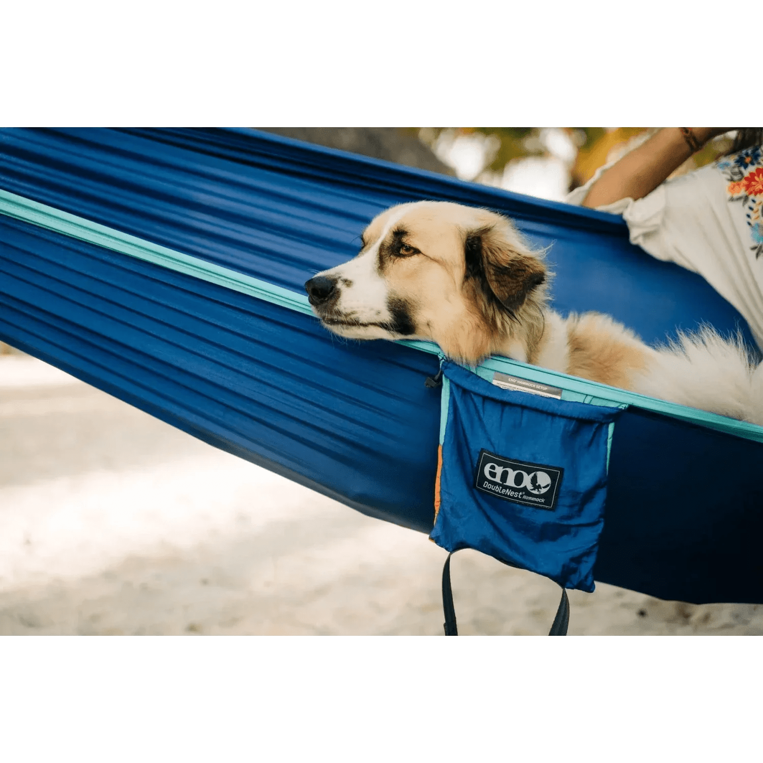 Eagles Nest Outfitters 12. HARDGOODS - CAMP|HIKE|TRAVEL - HAMMOCKS DoubleNest Hammock AQUA | SAPPHIRE | AMBER