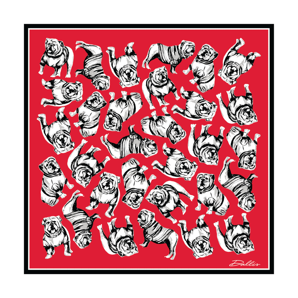 Sic 'Em Gameday Scarf in Red, flat