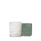 Frasier Fir Tidings Votive Candle Thymes - TIDINGS 2 OZ