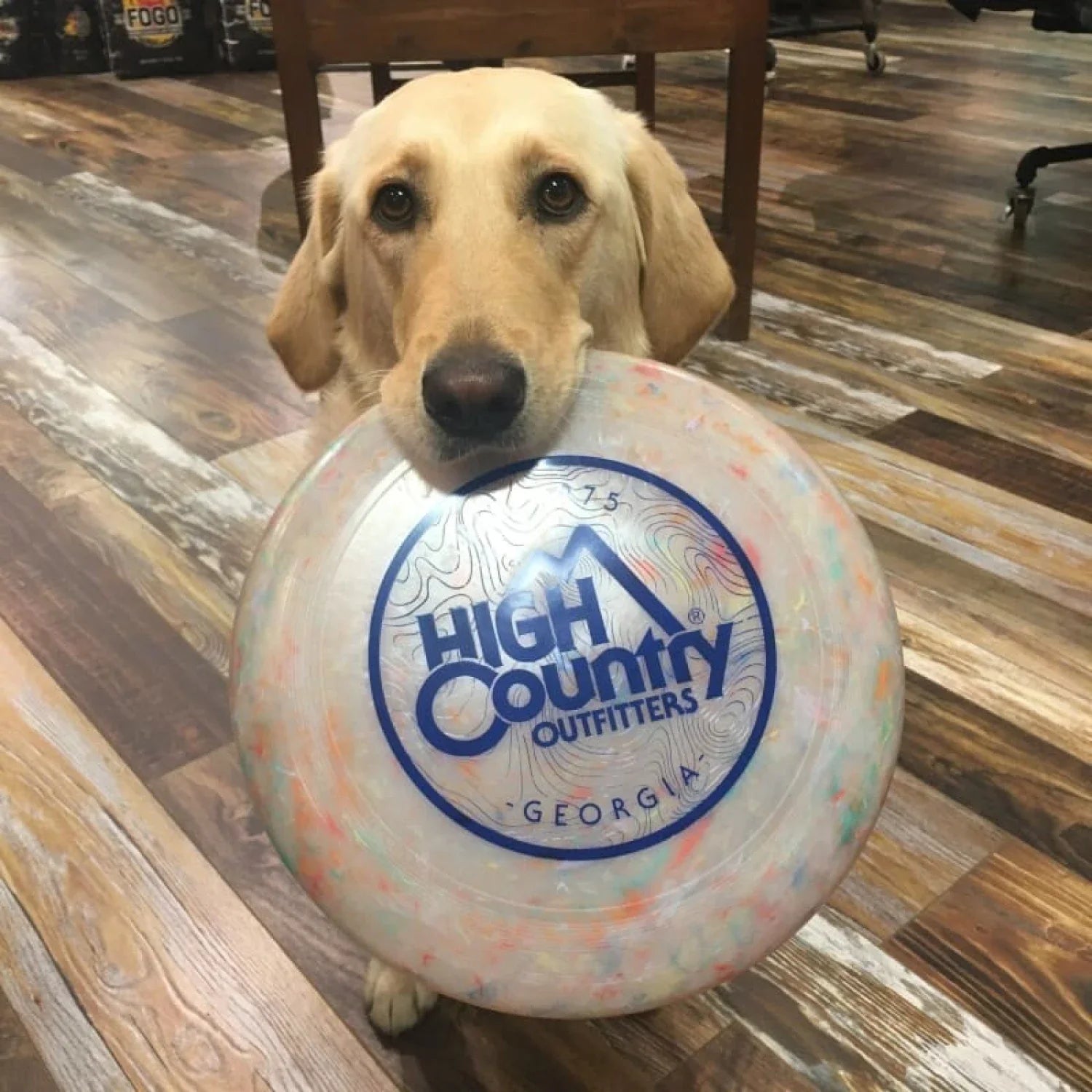 High Country Outfitters GIFTS|ACCESSORIES - GIFT - GAMES HC Circle Logo Frisbee REFLEX BLUE