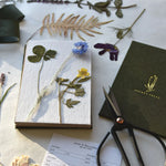 Field Flower Press june & december