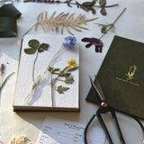 Field Flower Press june & december