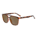 Brightsides Knockaround - GLOSSY TORTOISE SHELL | AMBER