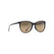 Ocean Maui Jim - TORTOISE W/PEACOCK / HCL BRONZE