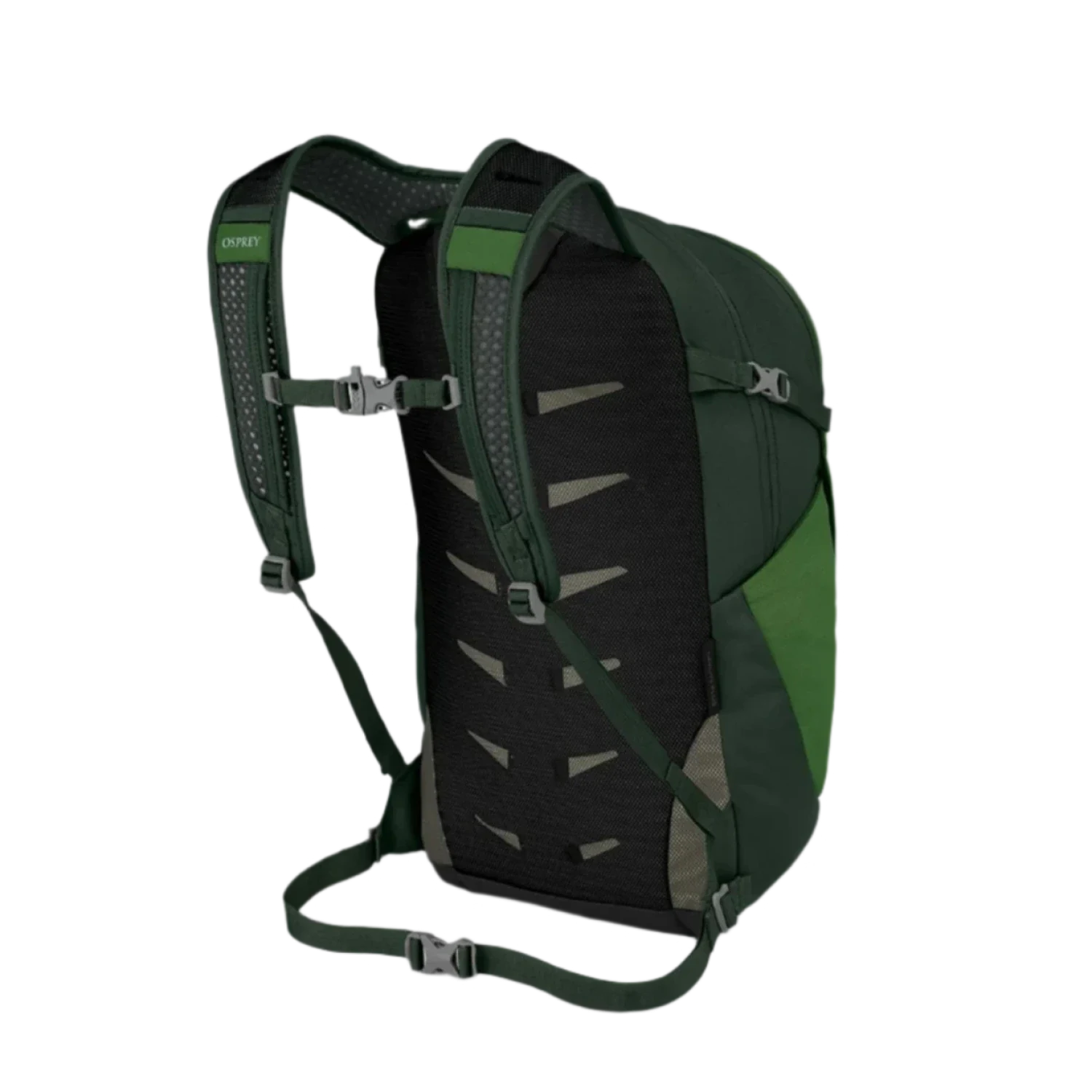 Osprey Packs 09. PACKS|LUGGAGE - PACK|CASUAL - BACKPACK Daylite Plus GREEN BELT|GREEN CANOPY O S