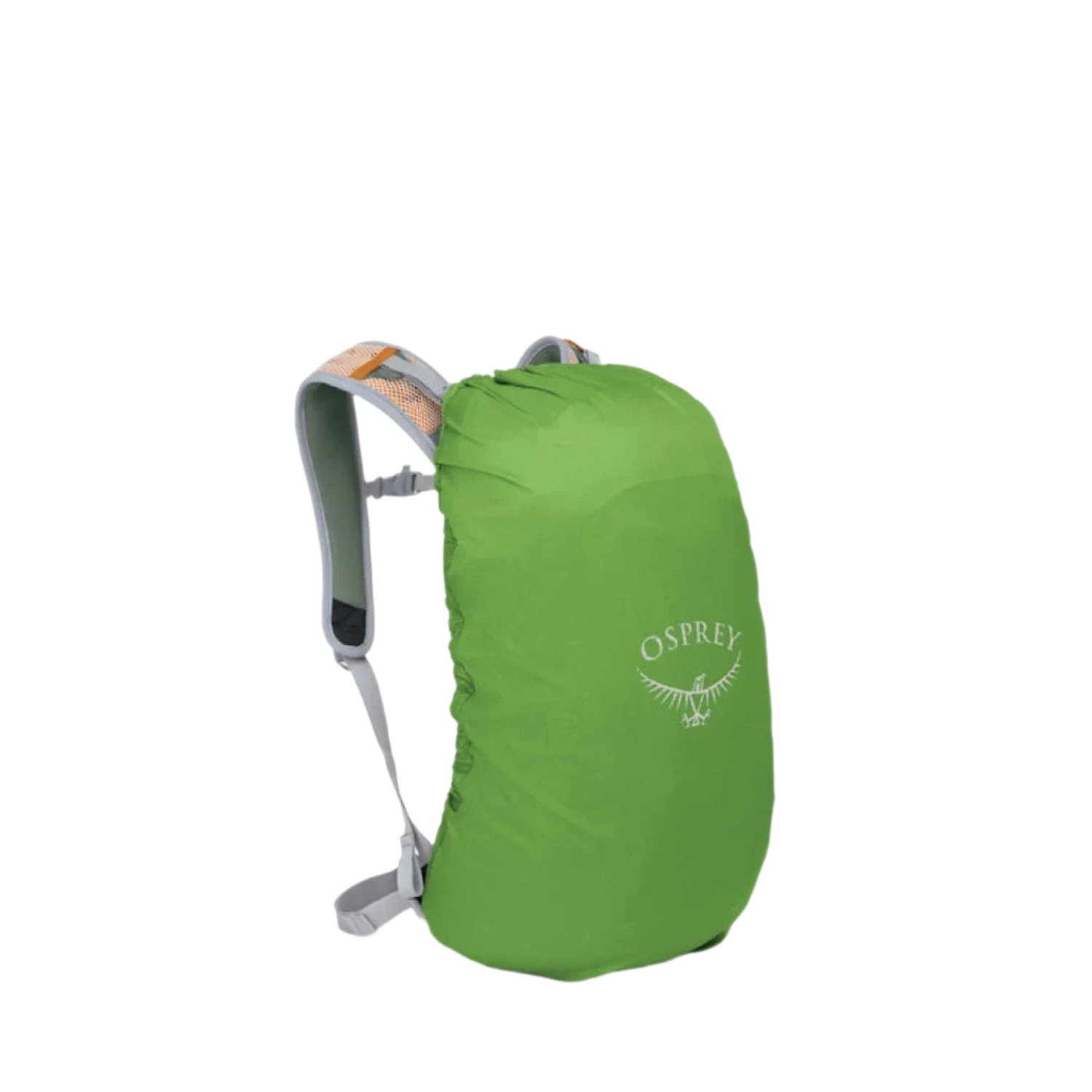 Osprey Packs 09. PACKS|LUGGAGE - PACK|ACTIVE - DAYPACK Hikelite 18 PINE LEAF GREEN O S