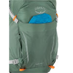 Osprey Packs 09. PACKS|LUGGAGE - PACK|ACTIVE - DAYPACK Hikelite 26 PINE LEAF GREEN O S