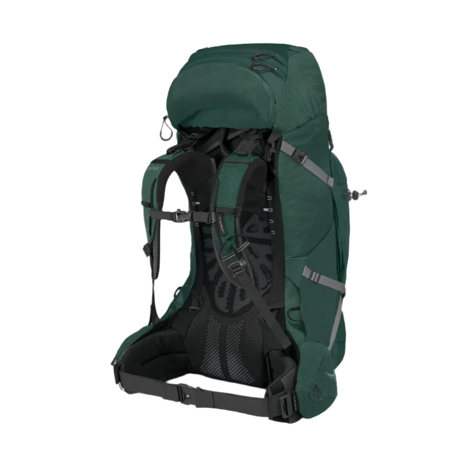 Osprey Packs 09. PACKS|LUGGAGE - PACK|ACTIVE - OVERNIGHT PACK Men's Aether Plus 70L AXO GREEN